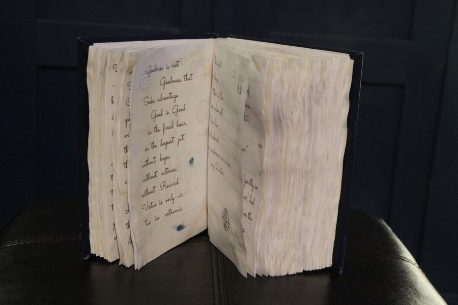 weathered pages of River Song diary